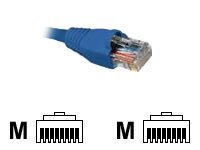 Nexxt - Cable de interconexión - RJ-45 (M) a RJ-45 (M) - 15.2 m - UTP - CAT 5e - moldeado, trenzado - azul