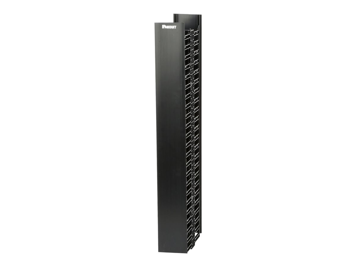 Panduit NetRunner - Panel de organización de cables para bastidor (vertical) - negro - 45U