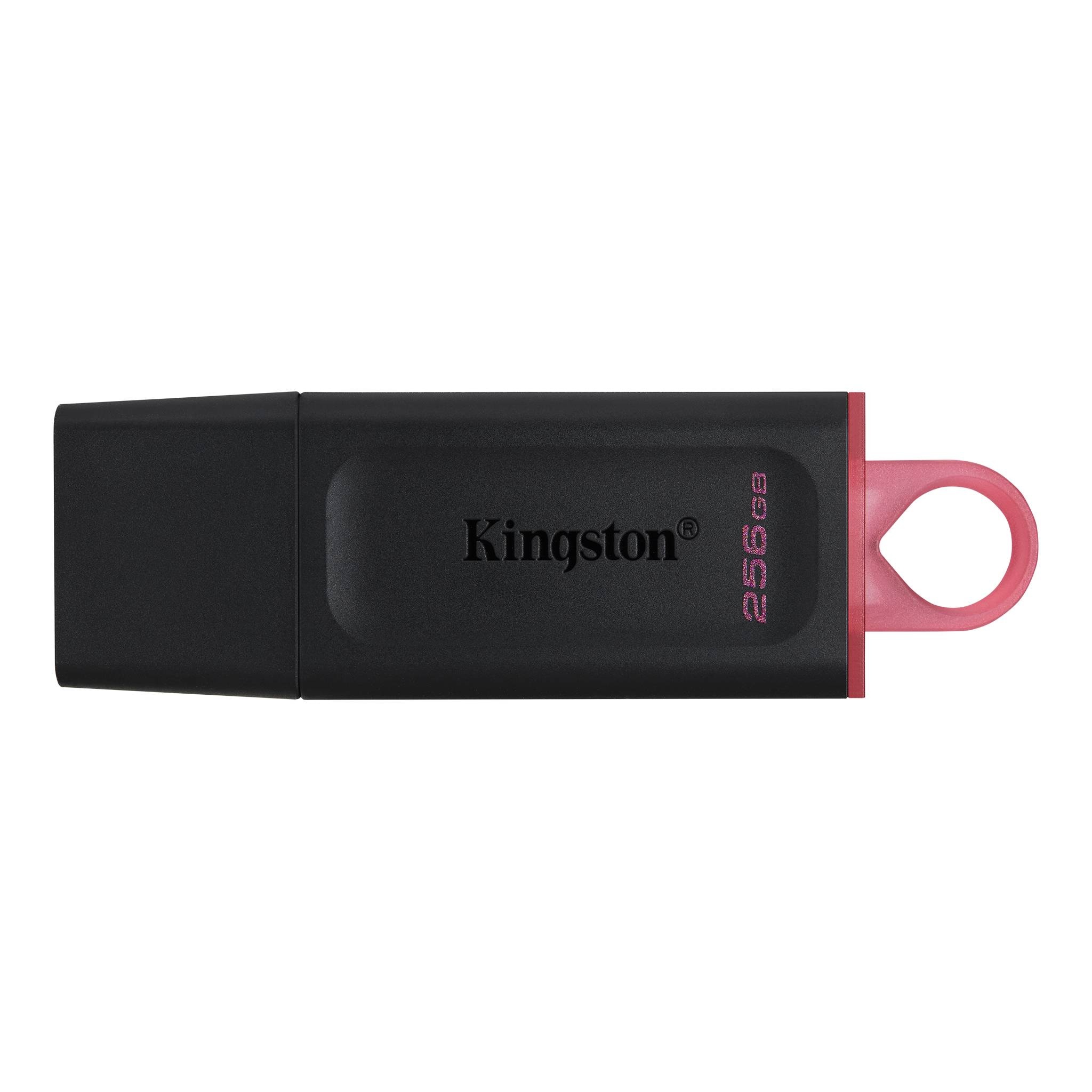 Kingston DataTraveler Exodia - Unidad flash USB - 256 GB - USB 3.2 Gen 1 - negro/rosa
